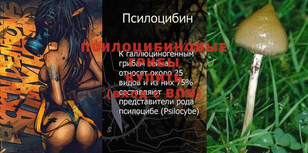 ПСИЛОЦИБИНОВЫЕ ГРИБЫ Балахна