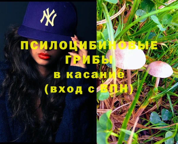 spice Балабаново