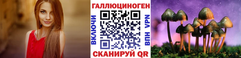 OMG как войти  Петров Вал  Галлюциногенные грибы MAGIC MUSHROOMS 